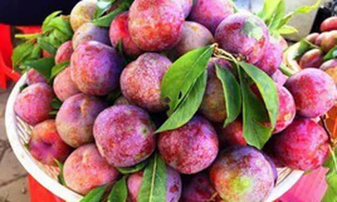 Loại quả chua ngọt đang chín rộ: Người than "nổi mụn", Đông y lại coi là thuốc “sinh tân dịch”, ăn đúng giúp giải nhiệt, đẹp da từ bên trong