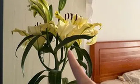 Kiểm tra phòng ngủ của bạn: Nếu vẫn giữ 6 món đồ này, giấc ngủ có thể đang “xuống cấp” từng ngày mà bạn không nhận ra