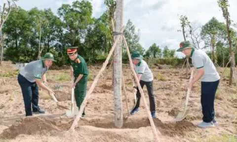 Cà Mau phát động Tết trồng cây "Đời đời nhớ ơn Bác Hồ", mục tiêu trồng mới hơn 1 triệu cây xanh