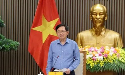 Phó Thủ tướng đề nghị Bộ Công an xử lý tình trạng mua bán mã số vùng trồng