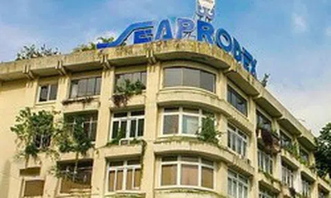 Seaprodex không đáp ứng điều kiện công ty đại chúng