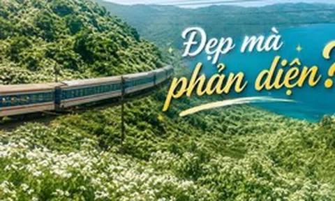 "Thiên đường hạ giới" đang phủ trắng muốt đèo Hải Vân khiến bao người đắm say: Đẹp đến đâu, đáng lo đến đó!