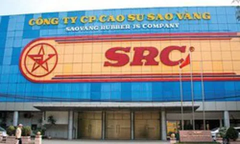 Cao su Sao Vàng dự kiến phát hành hơn 8,4 triệu cổ phiếu để tăng vốn
