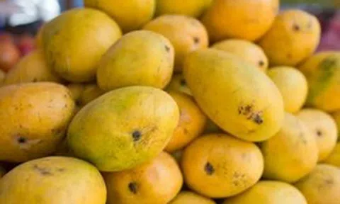 Lời khuyên khi mua xoài
