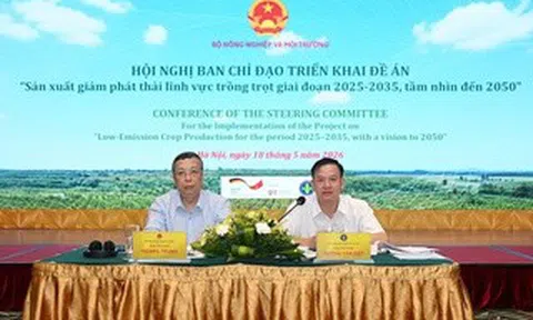 Mở rộng trồng trọt giảm phát thải, nâng cao thu nhập cho nông dân