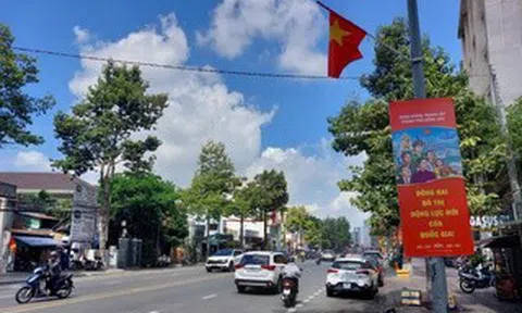 Bắn pháo hoa chào mừng lễ công bố thành lập TP Đồng Nai