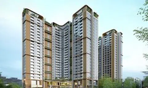 Cổ đông lớn bán ra 5 triệu cổ phiếu SJS của SJ Group