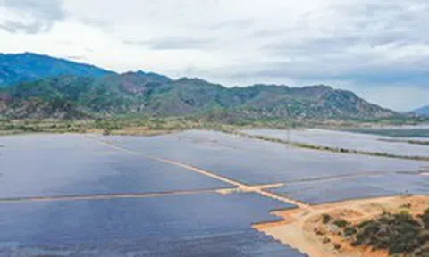 Tập đoàn Xuân Thiện bị phạt do không công bố thông tin