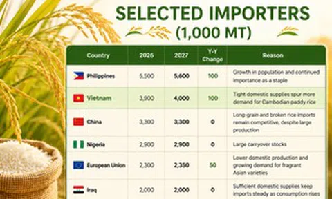 Mỹ dự báo Việt Nam nhập khẩu gạo nhiều hơn cả Trung Quốc, tiếp tục xếp thứ 2 thế giới