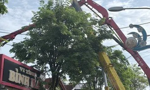 Gia Lai: Cần bơm bê tông bất ngờ gãy đổ, 3 người thương vong