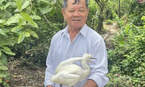 Vụ chủ vườn chim Hai Chìa "kêu cứu": Tỉnh Vĩnh Long thống nhất bảo vệ để phát triển du lịch
