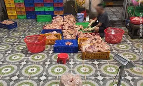 TPHCM phát hiện cơ sở giết mổ gia cầm hoạt động “chui” lúc gần 3 giờ sáng