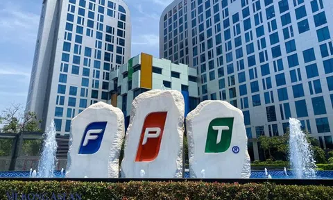 FPT chi hơn 1.700 tỷ đồng trả cổ tức, phát hành hơn 10,8 triệu cổ phiếu ESOP