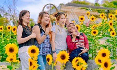 Du khách đổ về Bà Nà tránh nóng, săn ảnh giữa “biển hoa mặt trời”