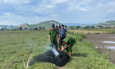 Lưới bẫy đánh bắt chim trời xuất hiện trên cánh đồng Quảng Trị