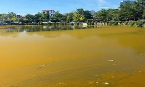 Hồ Trái Tim ở Huế xuất hiện màu nâu vàng bất thường