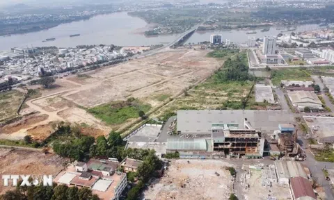 Đồng Nai chậm đấu giá đất vì góp ý 'chung chung'