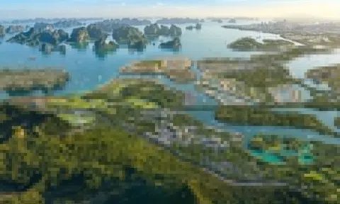 Vinhomes khởi động chương trình chuyển hóa nguồn lực vàng vào kinh tế