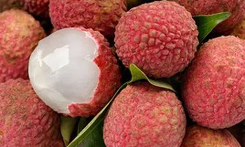 Lời khuyên cho những người thích ăn vải