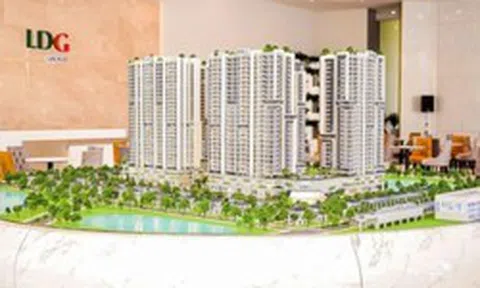 Một Thành viên HĐQT LDG xin từ nhiệm