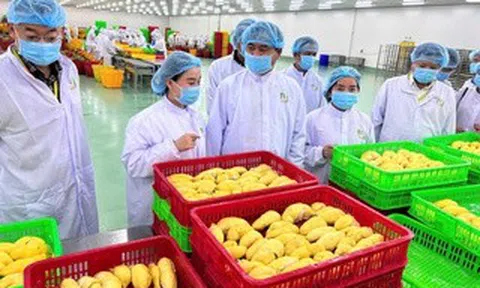 Nông sản Việt thích ứng quy định từ Trung Quốc