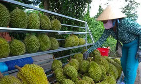 Muốn đi xa phải đi bài bản