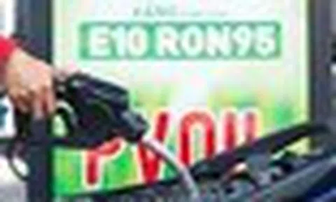 Xăng E10 phù hợp với dòng xe nào tại Việt Nam?