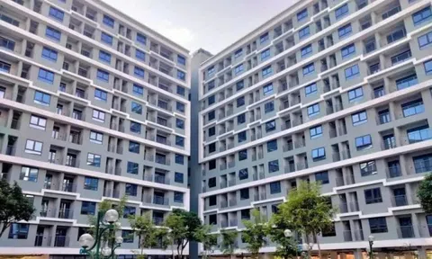 Đà Nẵng: Giá đất tăng vượt nhu cầu ở thực, cao nhất hơn 340 triệu/m2
