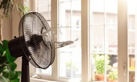 Loại quạt nào tốn điện nhất? Lời khuyên để dùng quạt điện mát không kém điều hòa mà vẫn tiết kiệm, tốt cho sức khỏe