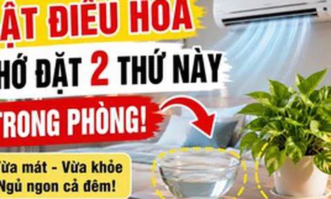 Trước khi bật điều hòa, người khéo thường đặt thêm 2 thứ này trong phòng: Vừa dễ ngủ vừa đỡ khô da