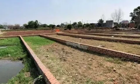 Rà soát diện rộng tình trạng phân lô bán nền tự phát