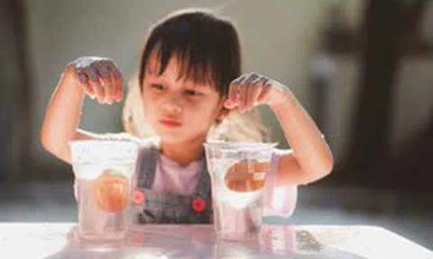 Mua quà gì tặng con, cháu mừng Ngày Quốc tế Thiếu nhi 1/6?