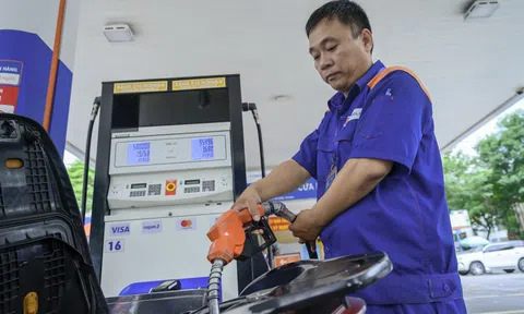 Thêm nhiều hãng xe lên tiếng về xăng E10