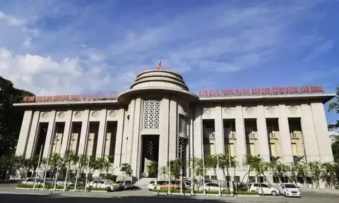 Việt Nam - Mỹ ra tuyên bố chung về tiền tệ