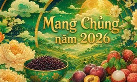 Mang Chủng là gì?