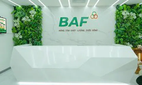 Baf Việt Nam thâu tóm thêm doanh nghiệp chăn nuôi tại Quảng Trị
