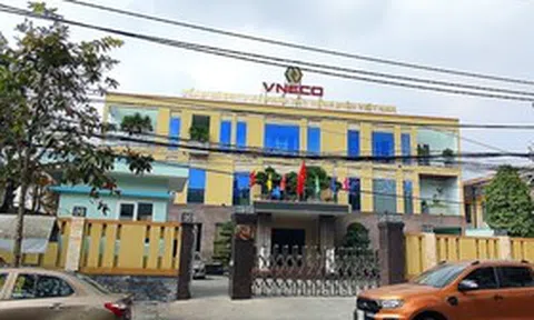 VNECO nói gì khi cổ phiếu VNE bất ngờ tăng trần liên tiếp sau thông tin hủy niêm yết?