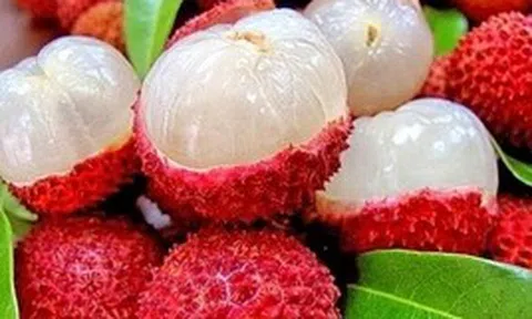 Lời khuyên khi mua vải