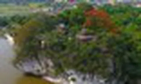 Ngọn núi cao chỉ hơn 20m ai cũng biết tên: Có hàng chục bài thơ, văn khắc trên đá đang trình lên UNESCO