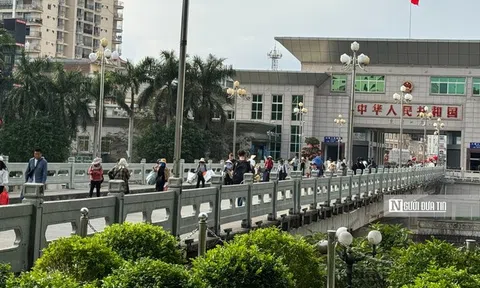 Quảng Ninh: Hải quan khu vực VIII thu ngân sách đạt gần 7.500 tỷ đồng