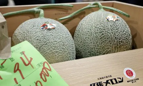 Cặp dưa lưới đặc sản được bán với giá hơn 958 triệu đồng