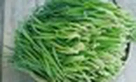 Những tác dụng của lá hẹ với sức khỏe ít người biết