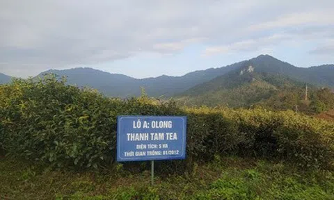 Xây dựng bản đồ số du lịch nông thôn Việt Nam