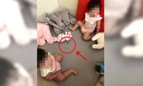 Tá hỏa khi thấy con trai 9 tháng tuổi cho gián vào miệng nhai, mẹ chỉ kịp lấy ra một chiếc chân gián