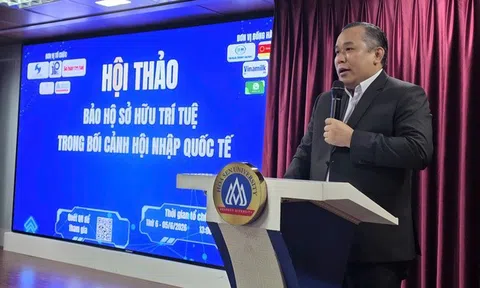 Một đêm xử lý hơn 200 website lậu, chuyên gia nói gì về “cuộc chiến” bản quyền?