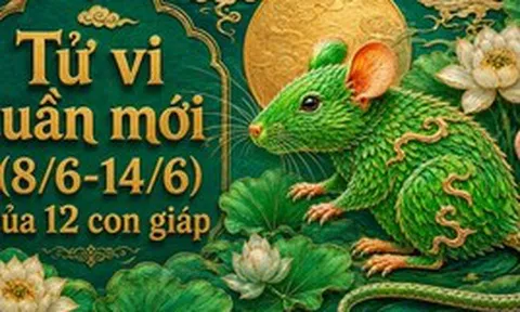 Lời khuyên cho 12 con giáp trong tuần mới (8/6-14/6)