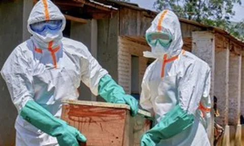 Nguy cơ tái diễn thảm kịch Ebola 2014: WHO cảnh báo số ca mắc tăng vọt
