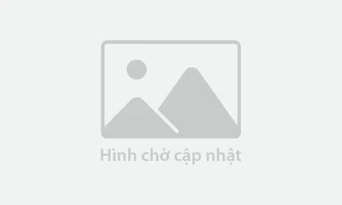 Kiến nghị áp dụng mức giá chung cho điện sinh khối