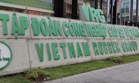 GVR không bị hủy tư cách công ty đại chúng dù chưa đạt chuẩn