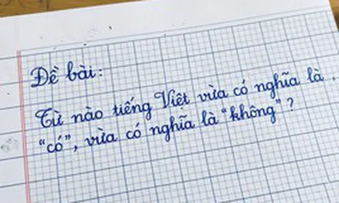 Trong tiếng Việt có một từ vừa là có vừa là không